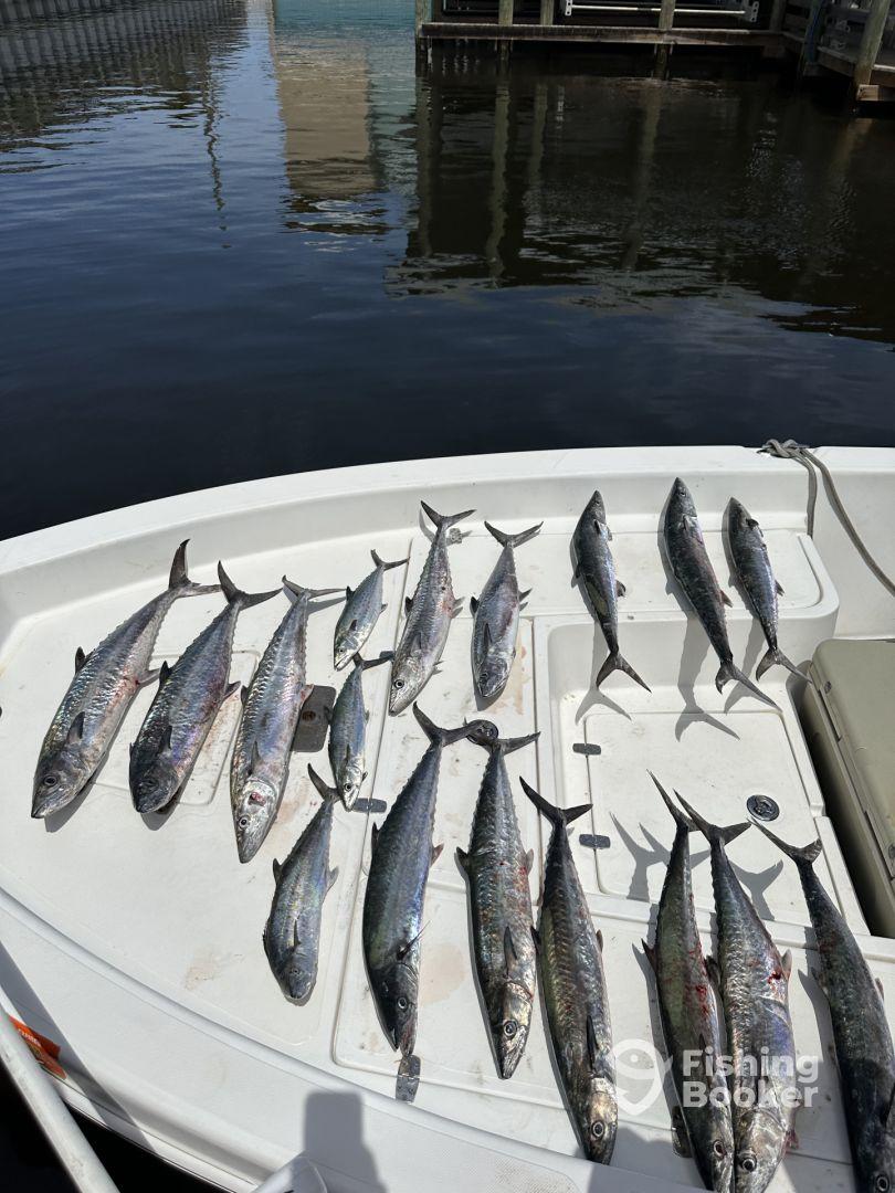 Captain Dan is the absolute best 