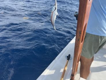 An angler reeling in a fish while fishing in deep blue waters, showcasing the excitement of the catch.