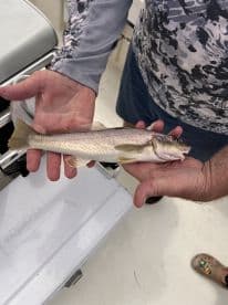 An angler proudly displaying a freshly caught Speckled Trout while aboard a fishing boat.