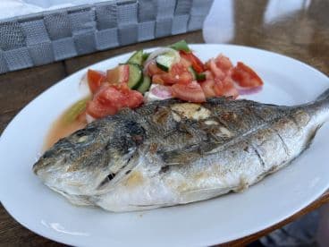 A grilled fish served on a plate with fresh vegetables, showcasing a culinary presentation rather than a fishing catch.