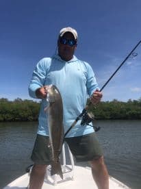 An angler proudly displaying a large Snook while fishing in a mangrove-lined waterway.