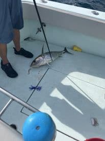 An angler on a boat is reeling in a large fish, showcasing a successful catch during a deep-sea fishing trip.
