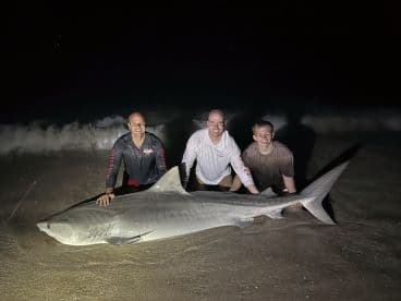 Three anglers proudly displaying a large shark on the beach at night, showcasing their successful catch during a nighttime fishing adventure.