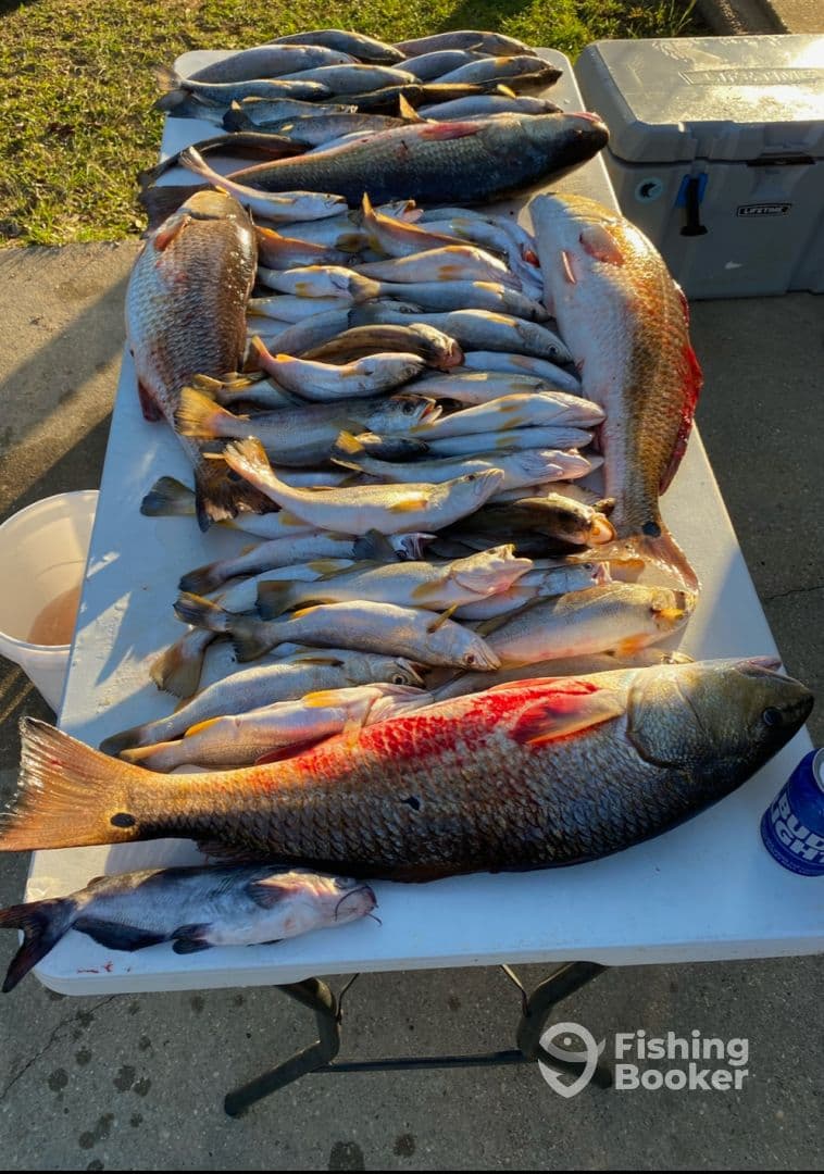 A variety of fish including a large Redfish and several smaller species displayed on a table at a cleaning station after a successful fishing trip.