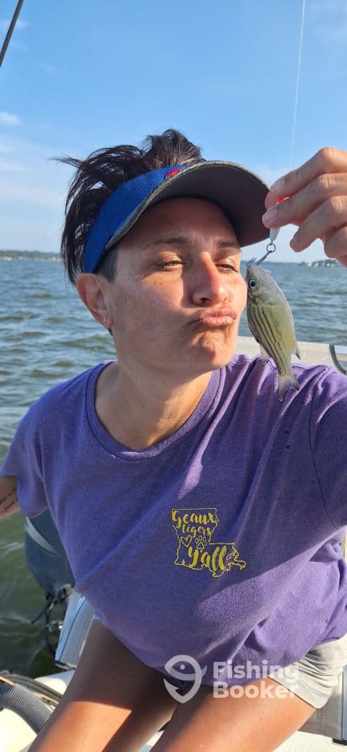 An angler proudly displaying a small striped bass while fishing on a sunny day.