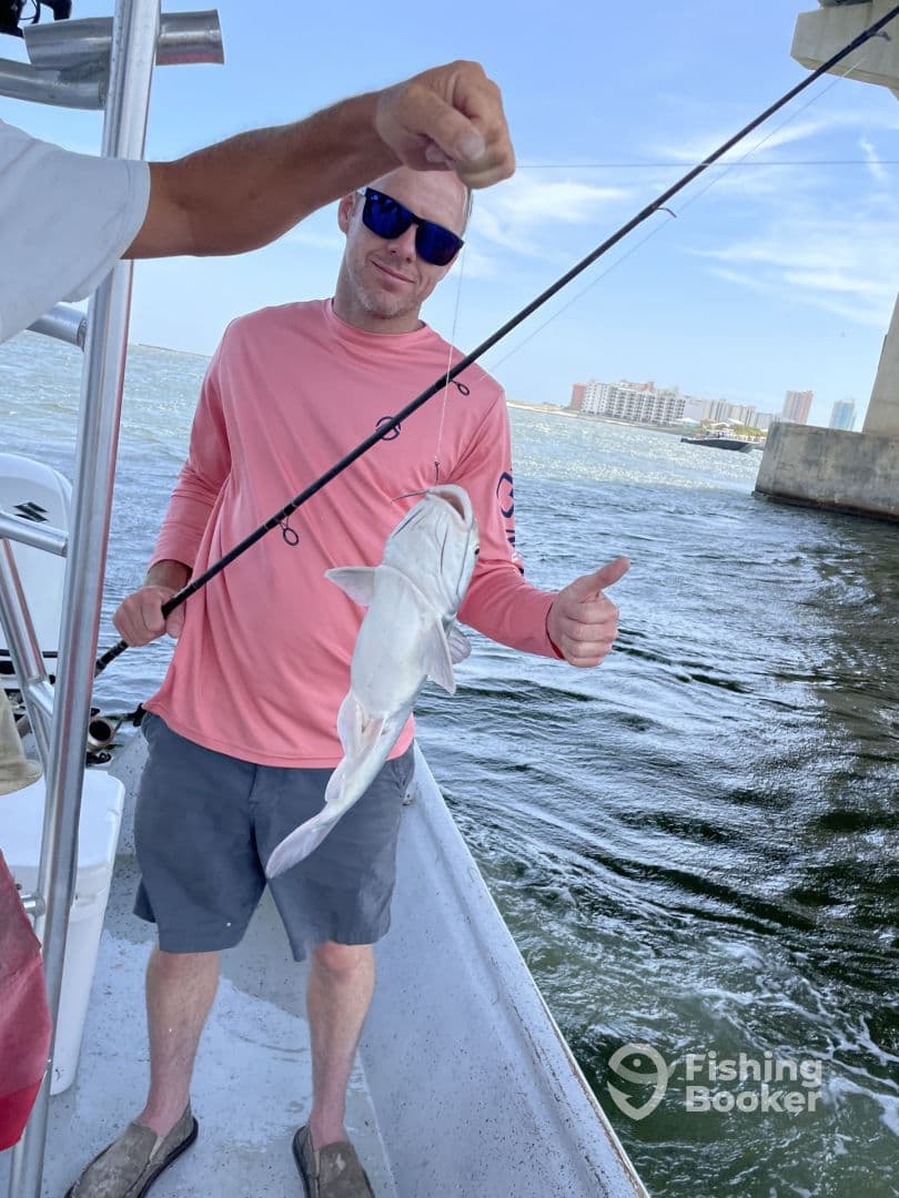 An angler proudly displaying a caught catfish while fishing from a boat, with a scenic waterfront in the background.