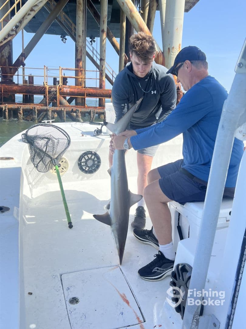 Two anglers on a boat successfully holding a large shark, showcasing their catch while fishing near an offshore platform.