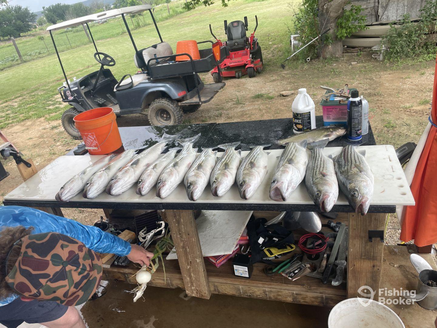 Dad and son’s trip.