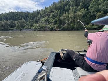 An angler is reeling in a fish while fishing in a river surrounded by lush greenery, showcasing the excitement of the catch.