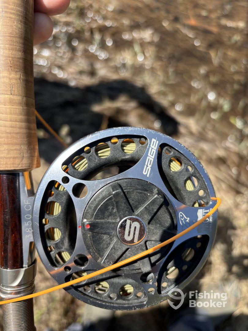 Fly fishing lakes and streams in the Utah mountains for the first time