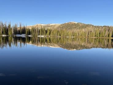 A serene landscape view of a tranquil lake surrounded by evergreen trees and mountains, reflecting the clear blue sky.