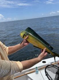 Angler holding a vibrant Mahi Mahi while fishing offshore, showcasing the beautiful colors of the fish against a clear blue sky.
