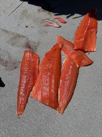 Freshly filleted salmon laid out on a dock, showcasing the vibrant orange flesh after a successful fishing trip.
