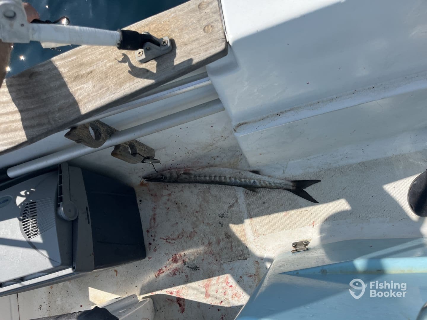 An unclear image showing part of a boat's interior with a fish on the floor, possibly a barracuda, amidst some blood stains.