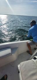 An angler skillfully reeling in a fish while fishing on a sunny day, showcasing the excitement of the catch in open waters.