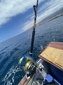 Close-up of a fishing rod and reel setup on a boat, showcasing the fishing environment with calm waters and a clear sky.