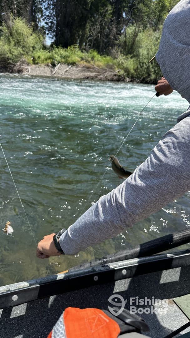 An angler casting a line into a river, showcasing the excitement of fishing in a scenic freshwater environment.