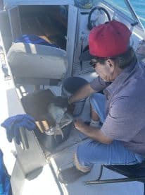 An angler is preparing a fish on a boat, showcasing the fishing experience while utilizing a cooler for storage.