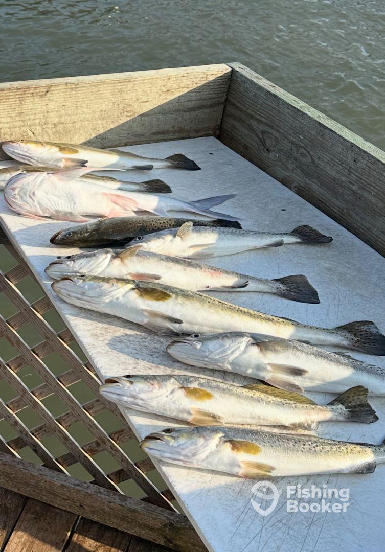 Great Father’s Day trip