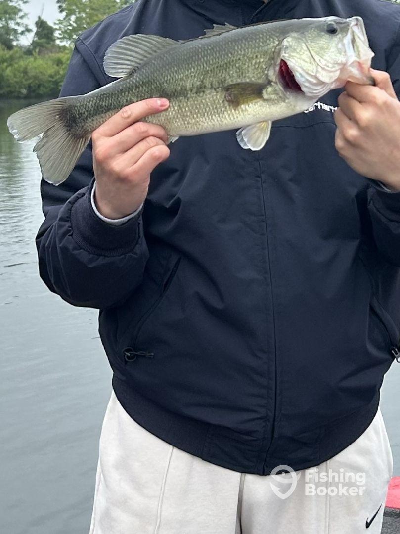 Great trip on a misty cloudy day