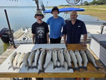 Three anglers proudly displaying a catch of striped bass on a dock after a successful fishing trip.