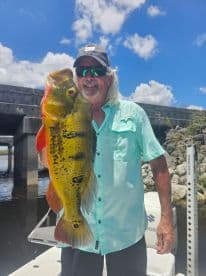 An angler proudly displaying a vibrant Peacock Bass while fishing near a bridge, showcasing the beautiful colors of the catch against a sunny sky.
