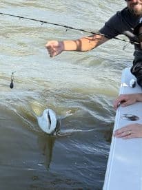 Angler reeling in a large fish while fishing from a boat, showcasing an exciting moment on the water.