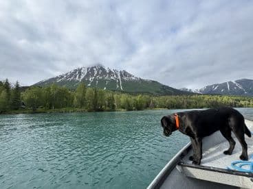A black Labrador retriever gazes over the edge of a boat, surrounded by stunning mountain scenery and clear waters, highlighting a serene fishing environment.