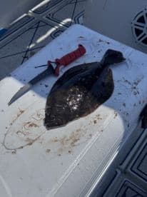 A freshly caught Flounder displayed on a fillet table aboard a fishing boat, showcasing the clean and organized setup for processing the catch.