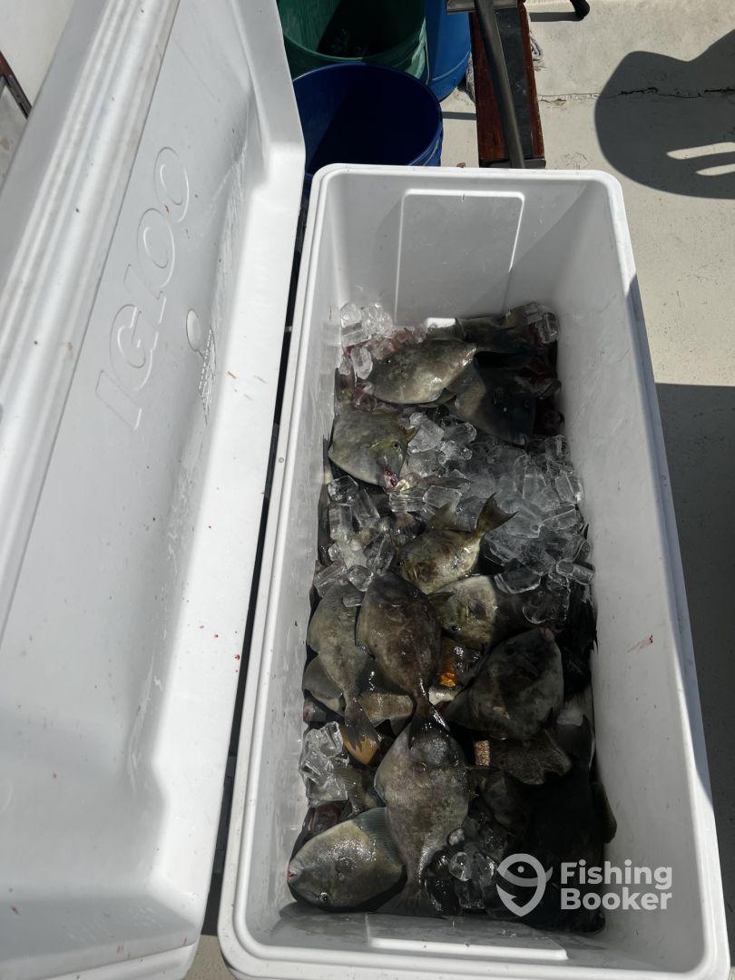 A cooler filled with various fish on ice, showcasing a successful fishing trip.