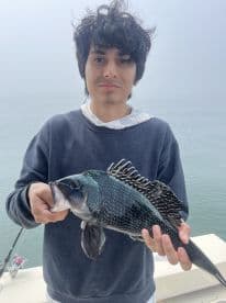 A young angler proudly displaying a Black Sea Bass while fishing on a foggy day.