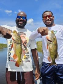 Two anglers proudly displaying their catches of Largemouth Bass while fishing on a sunny day in a freshwater lake.