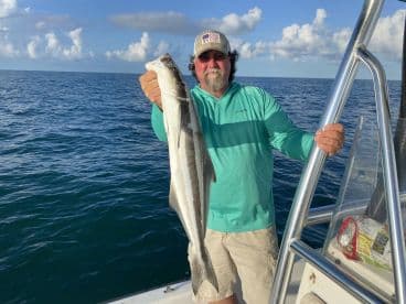 Angler proudly displaying a large Cobia while fishing offshore, showcasing a successful day on the water.