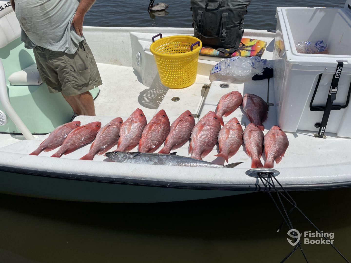 Best Damn Experience