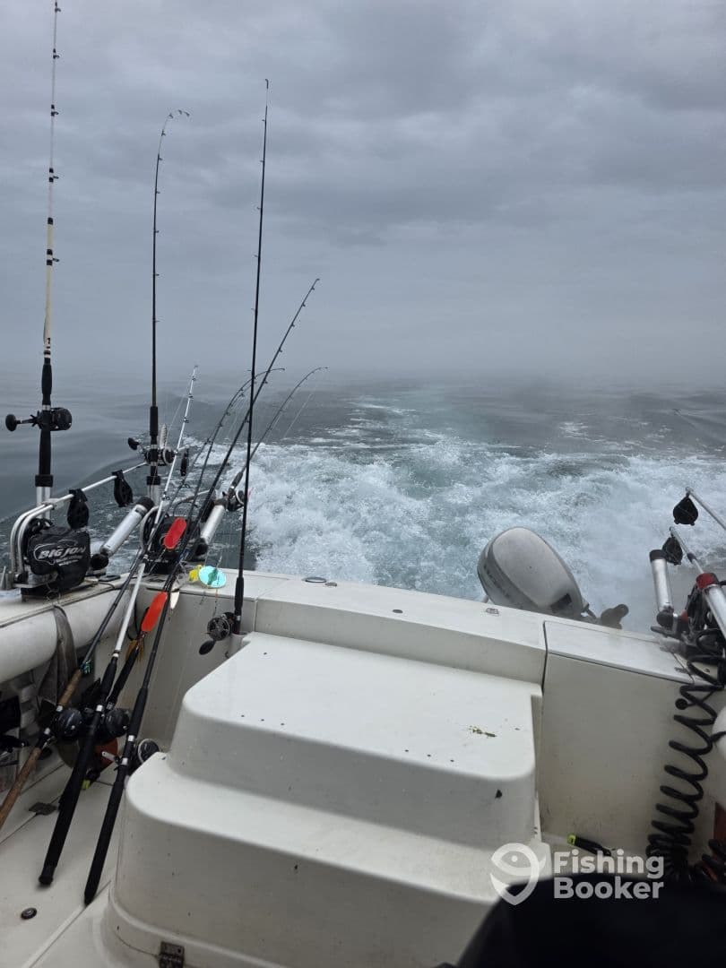 View from the helm of a fishing boat, showcasing multiple fishing rods as it navigates through calm waters under overcast skies.