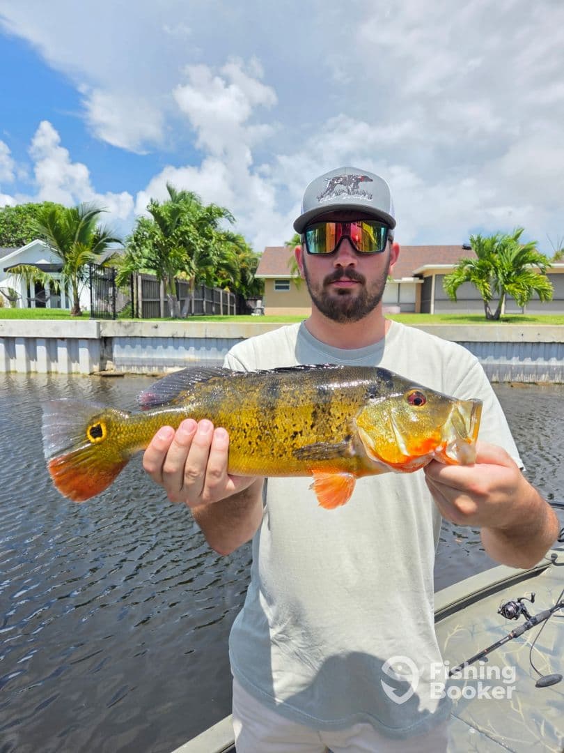 Angler proudly displaying a vibrant Peacock Bass while fishing in a scenic freshwater environment.