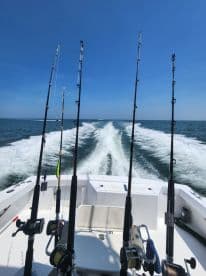 View from the helm of a sport fishing boat, showcasing multiple fishing rods ready for action against a backdrop of clear blue skies and ocean waves.