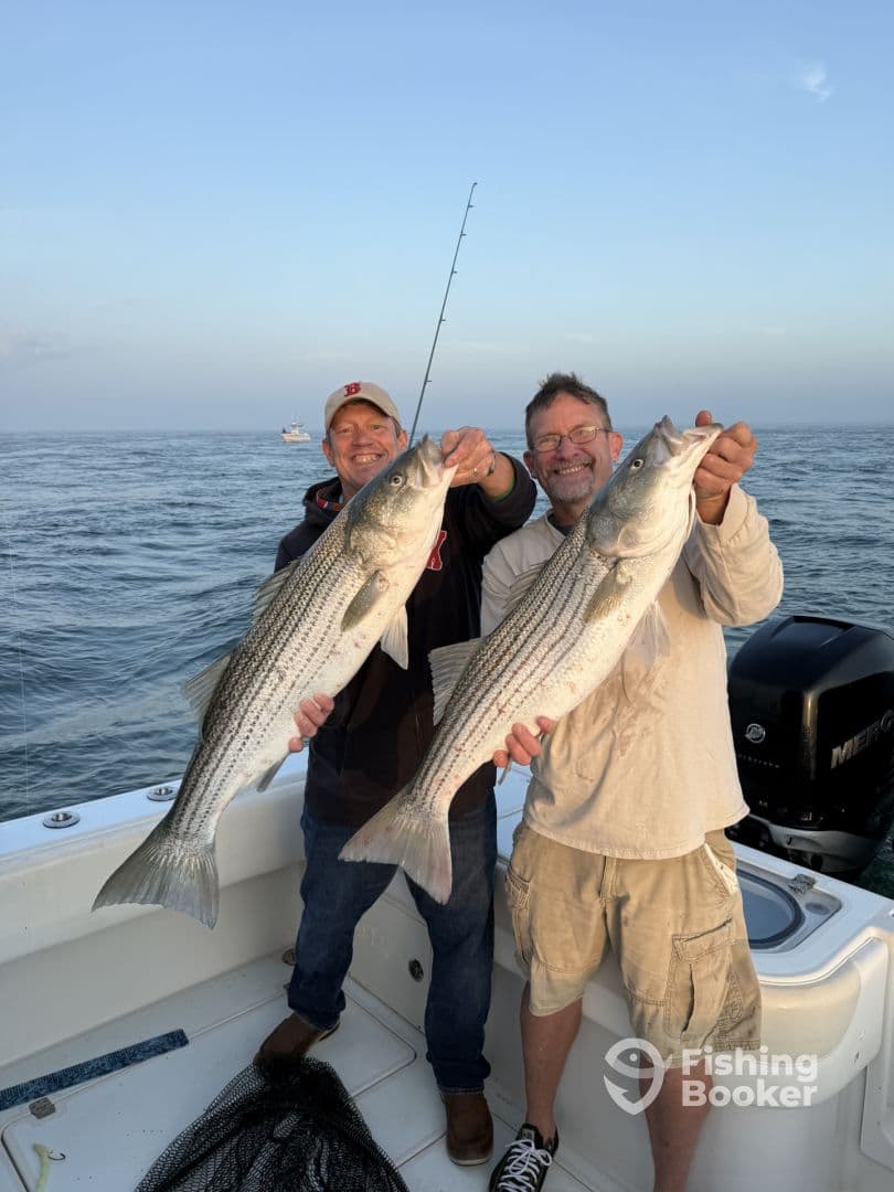 Two anglers proudly displaying their catch of striped bass aboard a fishing boat, enjoying a successful day on the water.