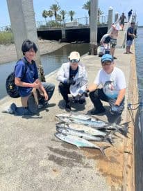 A group of young anglers proudly displaying their catch of several Spanish Mackerel on a sunny day at the dock.