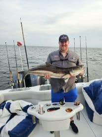 Angler proudly displaying a large Cobia on a fishing boat, showcasing a successful offshore fishing trip.