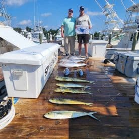 Two anglers proudly displaying their catch of Mahi Mahi and other species on the dock after a successful fishing trip.