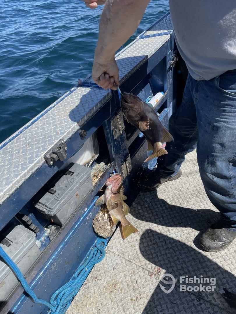 David Runs a Great Boat