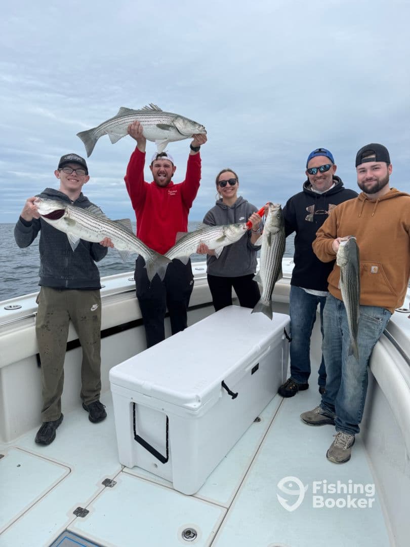 A group of anglers proudly displaying their catch of striped bass aboard a fishing boat, showcasing a successful day on the water.