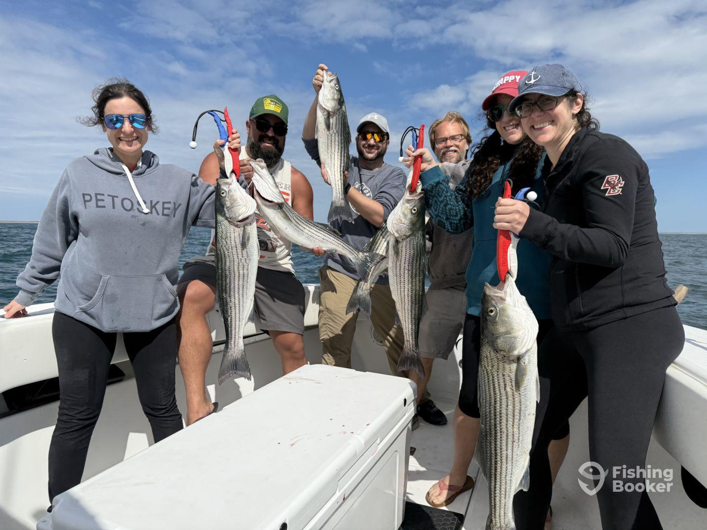 These guys are the real deal! Highly recommend