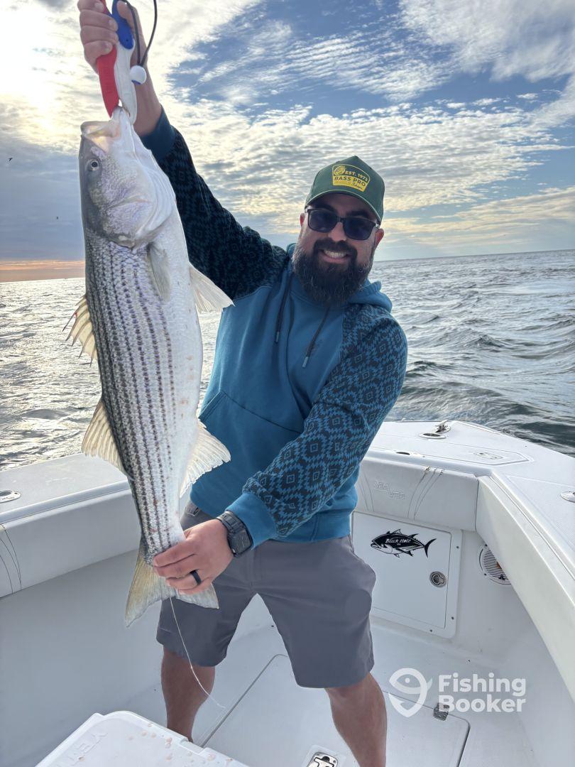 These guys are the real deal! Highly recommend