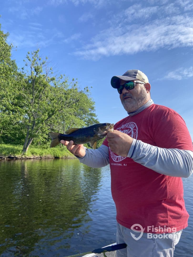 Steady Bite & a Happy Wife!