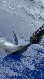 An angler reeling in a large Marlin while deep-sea fishing in clear blue waters.