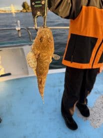 An angler proudly displaying a caught fish while fishing on a boat, showcasing the beautiful water backdrop.
