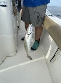 Angler displaying a freshly caught Speckled Trout while fishing on a boat, showcasing the excitement of the catch.