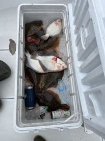 A cooler filled with various flatfish, including flounder, resting on the deck of a fishing boat, showcasing a successful day on the water.